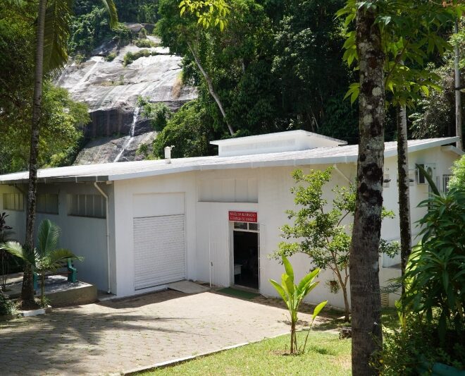 Museu da Energia de Ilhabela: Descubra suas Atrações Imperdí...