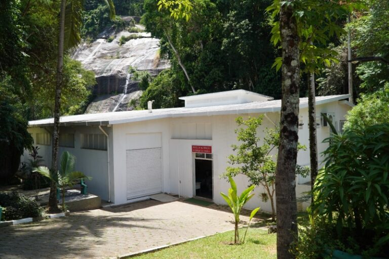 Museu da Energia de Ilhabela: Descubra suas Atrações Imperdí...