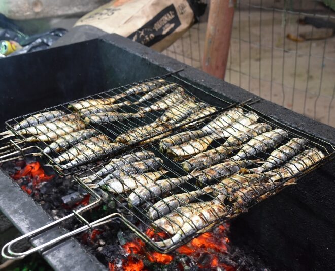 Festival da Sardinha 2023: Novidades e Sabores Tradicionais ...