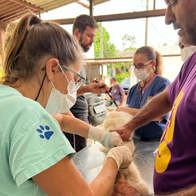Programa Bem-Estar Animal Avança com Novas Iniciativas e Açõ...