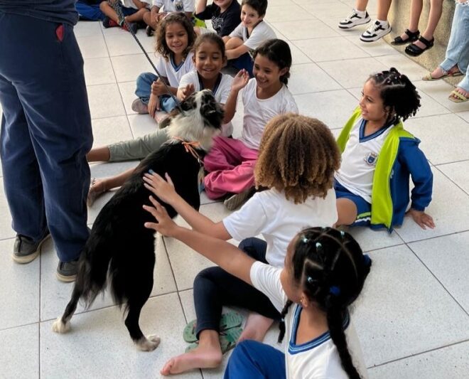 Centro de Referência Animal promove ações especiais para cui...
