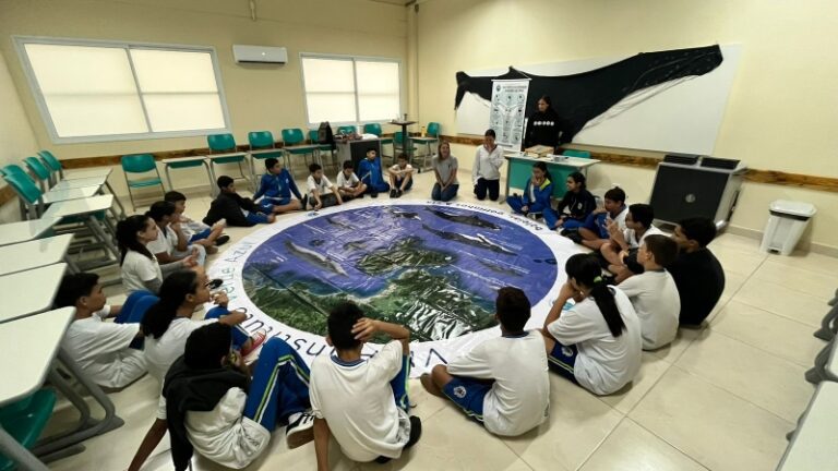 Estudantes da rede municipal de ensino conquistam resultados...