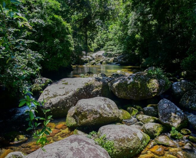 Ilhabela realiza ações de conscientização na Semana do Meio ...