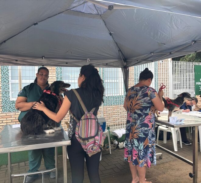 Atendimentos do Programa “Bem-Estar Animal” em G...
