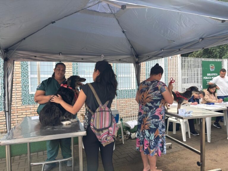 Atendimentos do Programa “Bem-Estar Animal” em G...