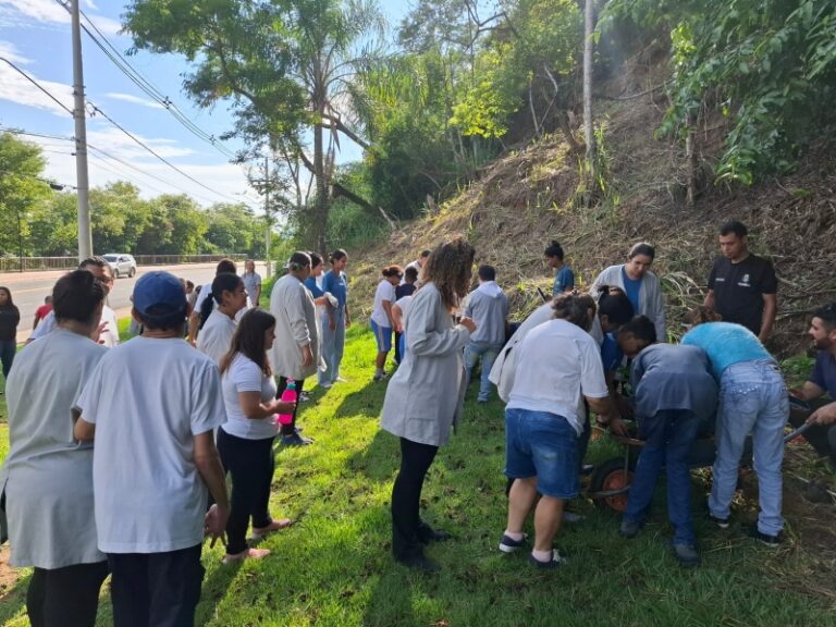Ilhabela comemora o Dia da Terra com eventos e atividades es...