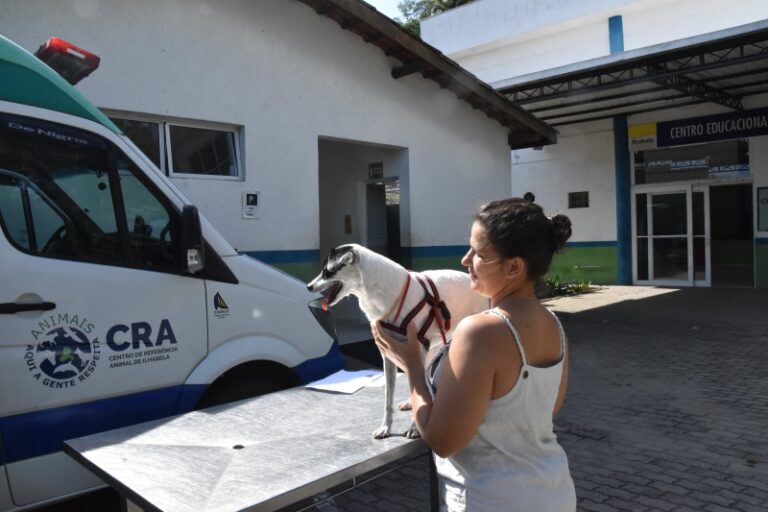 Evento de Bem-Estar Animal na Barra Velha Cancelado por Chuv...