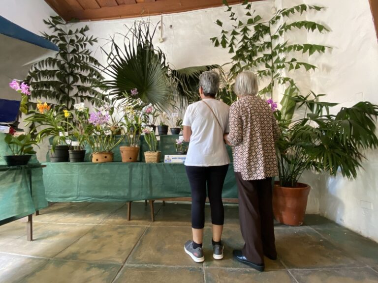 17ª Exposição de Orquídeas em Ilhabela: Beleza e Diversidade...