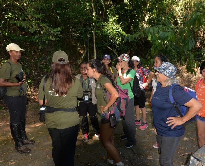 Dia Internacional da Mulher: Celebrações no Parque das…...