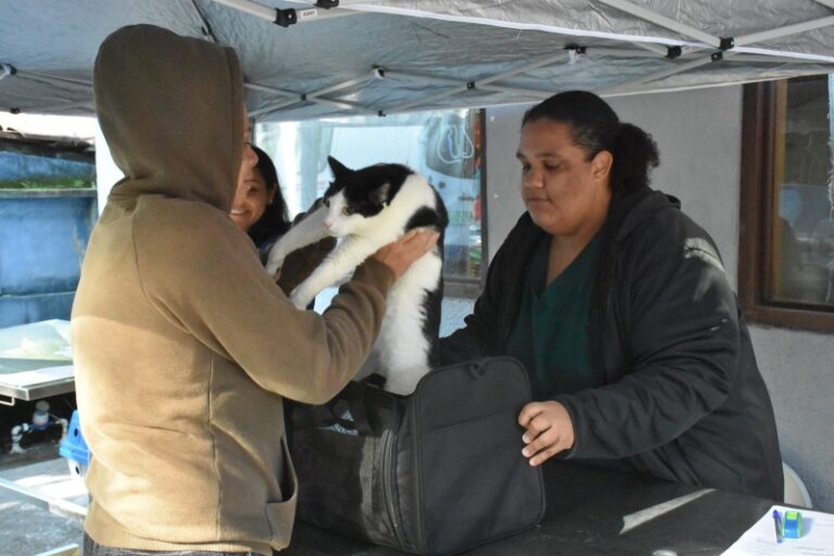 Bem-Estar Animal” oferta vacinação gratuita para 51 pets em ...