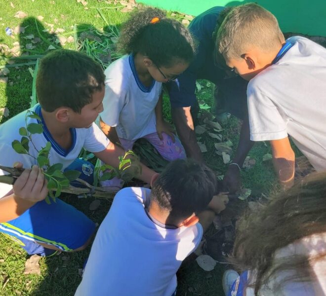 Escola de Ilhabela promove plantio de árvores em ação susten...
