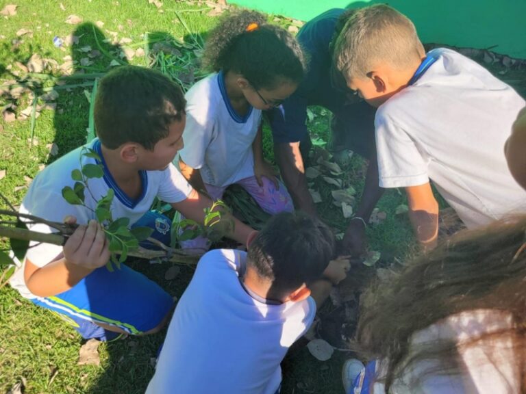 Escola de Ilhabela promove plantio de árvores em ação susten...
