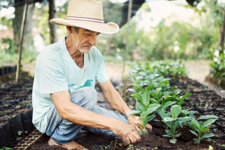 Ilhabela Sedia Evento Inédito sobre Sustentabilidade e Prese...