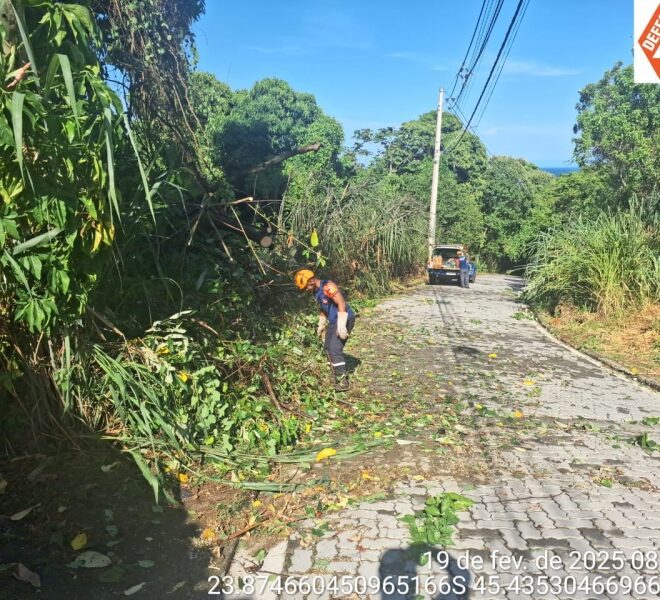 Defesa Civil de Ilhabela registra 8 ocorrências em emergênci...