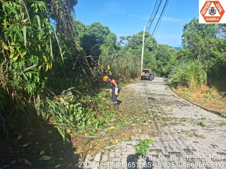 Defesa Civil de Ilhabela registra 8 ocorrências em emergênci...