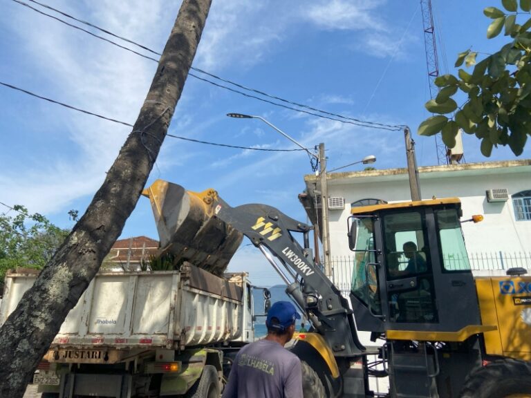Ilhabela: Prefeitura realiza poda de árvores para melhoria u...