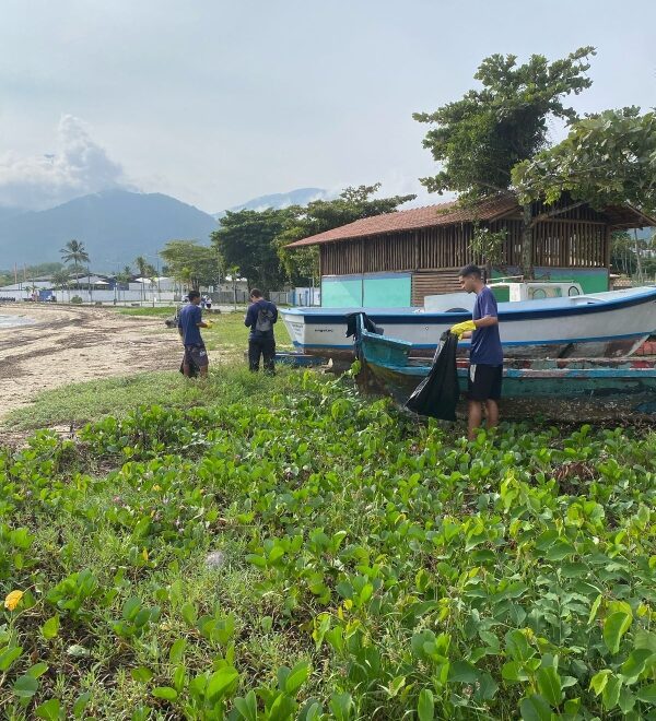 Ilhabela intensifica limpeza urbana para melhorar a qualidad...