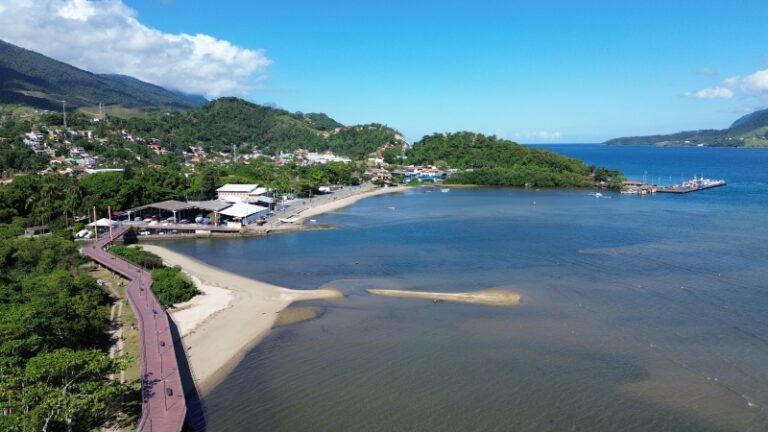 SOS Mangue 2025: Jornada Ecológica para Salvar os Manguezais