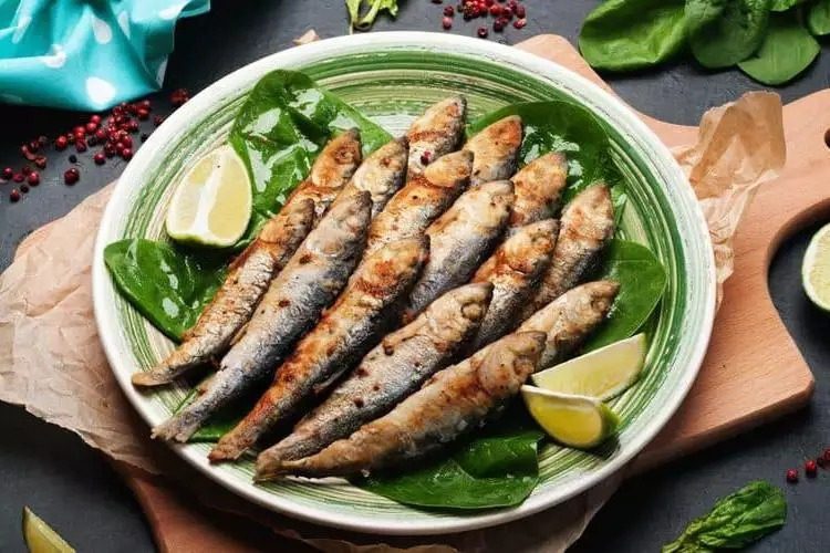Festival da Sardinha em Ilhabela: Delícias do Mar em 12° Edi...