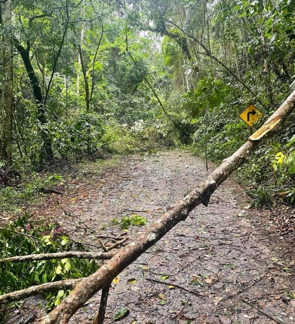 Ilhabela: Pequenos Alagamentos Afetam a Cidade