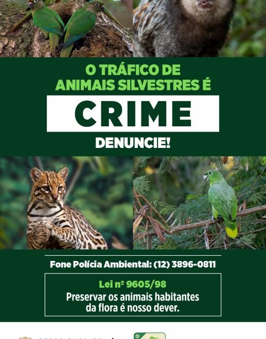 Ilhabela: Prefeitura alerta sobre novas medidas e orientaçõe...