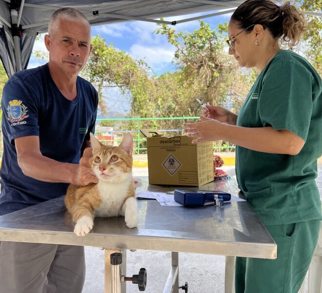 Vacinação de 70 pets no Morro dos Mineiros e Cantagalo em Il...