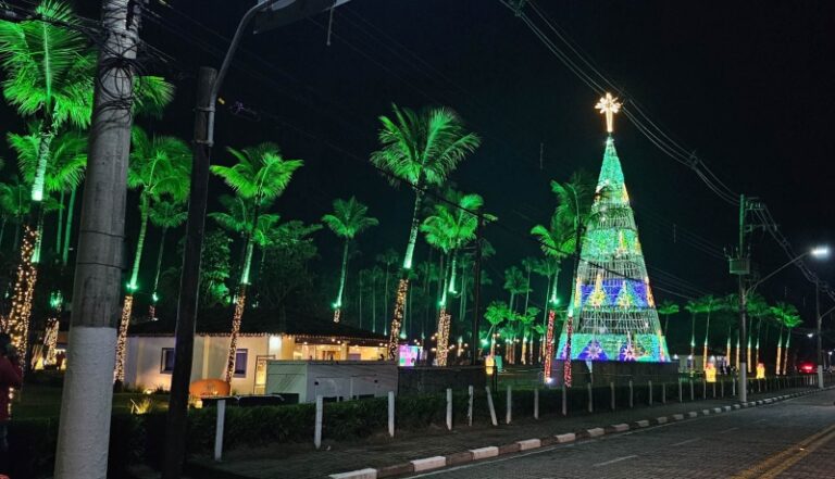 Última Chance para Aproveitar o Natal Luz em [Cidade]