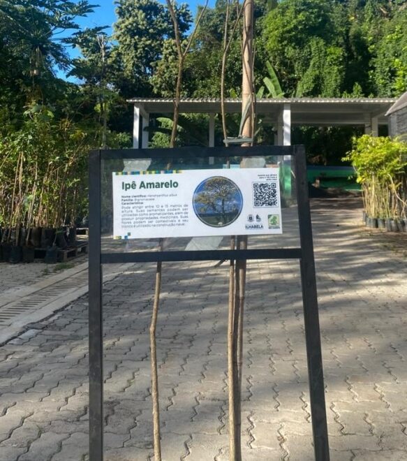Race Village oferece educação ambiental com rodas de convers...