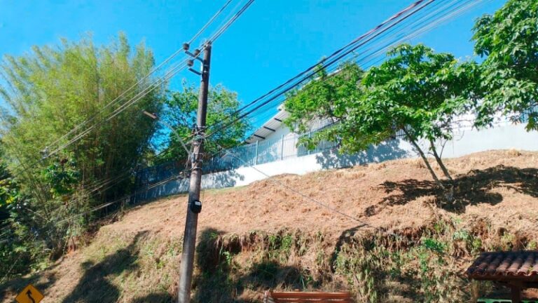 Roçada e Capina: Serviços no Bairro Itapecerica, Ilhabela