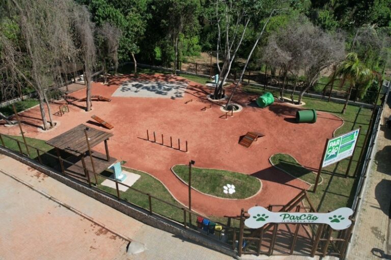 Ilhabela realiza evento especial em apoio aos animais neste ...