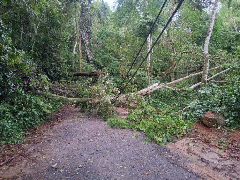 Estrada Parque-Castelhanos Fechada: Chuvas Intensificam Inte...