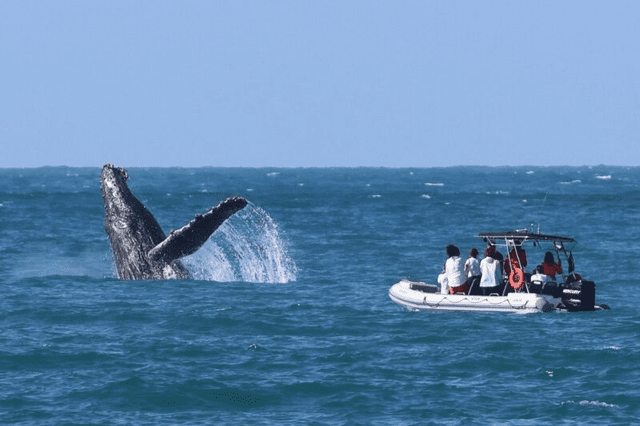 Ilhabela Concorrendo a Prêmio Nacional de Boas Práticas Públ...