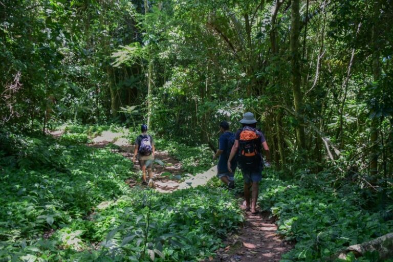Explore Opções de Nível de Dificuldade para Conhecimento