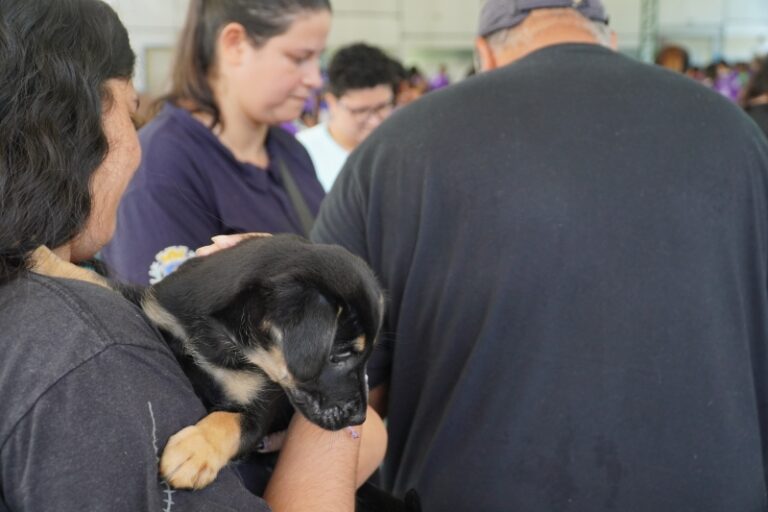 Adoção de Animais na 6ª Corrida das Mulheres: Conecte-se com...