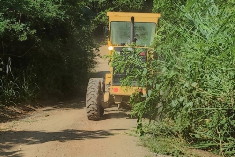 Manutenção da Estrada do Jabaquara: Segurança para Moradores...
