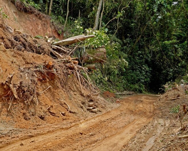 Estrada-Parque Castelhanos em Ilhabela Liberada com Monitora...