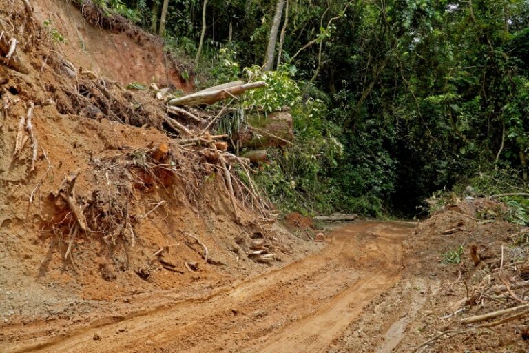 Estrada-Parque Castelhanos em Ilhabela Liberada com Monitora...