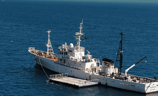 Navio Bandero em Ilhabela: Conservação Marinha e Visitação P...