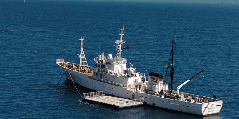 Navio Bandero em Ilhabela: Conservação Marinha e Visitação P...