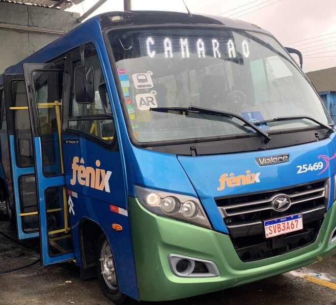 Nova Linha de Ônibus Facilita Acesso à Coroa do Camarão em I...