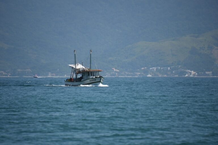 Pescadores de Ilhabela: Regularize Suas Embarcações pelo Pro...
