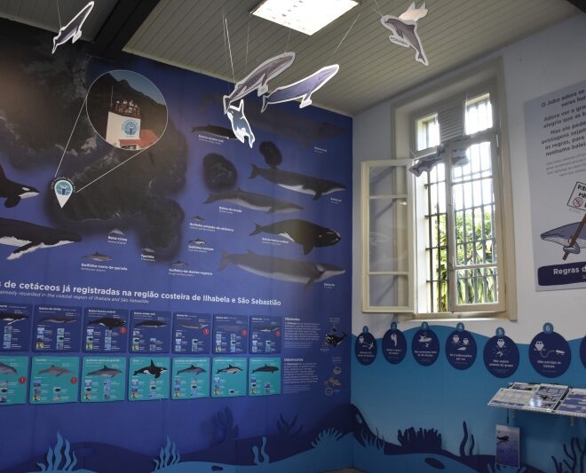 Ilhabela Lança Sala das Baleias e Promoções de Turismo Suste...