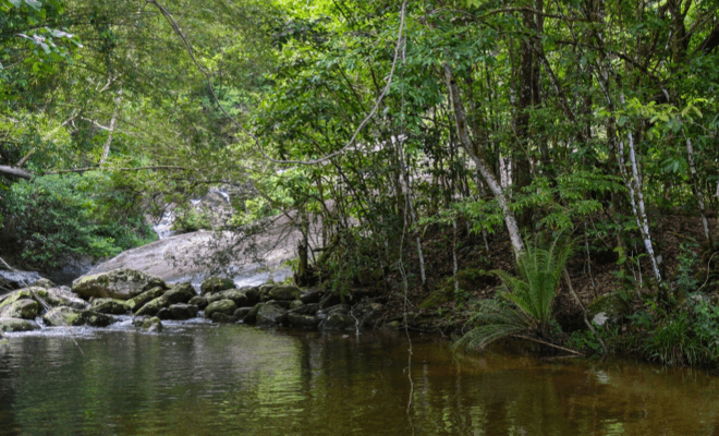 Descubra o Parque Estadual de Ilhabela: Natureza e Aventura