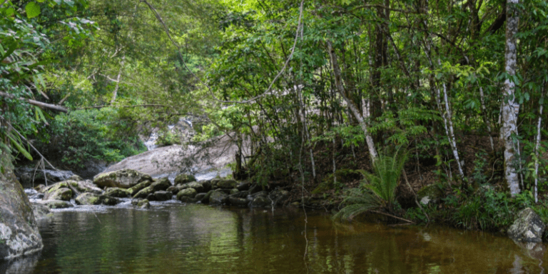 Descubra o Parque Estadual de Ilhabela: Natureza e Aventura