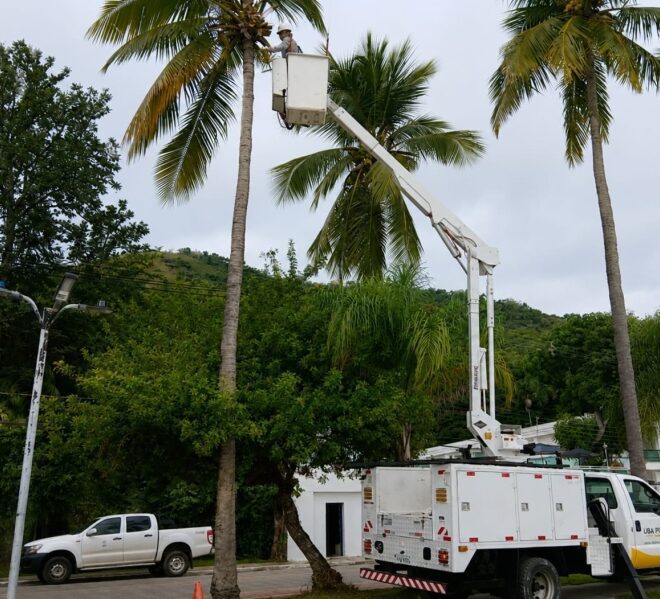 Ilhabela Intensifica Cuidados na Orla e Limpeza dos Coqueiro...