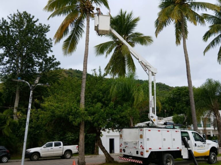 Ilhabela Intensifica Cuidados na Orla e Limpeza dos Coqueiro...